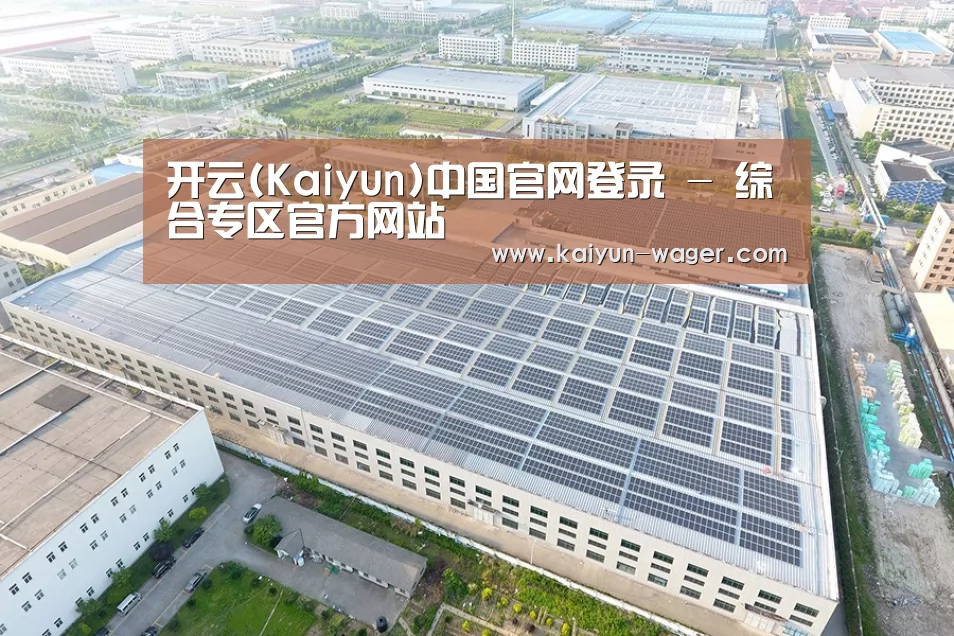 案例展示一