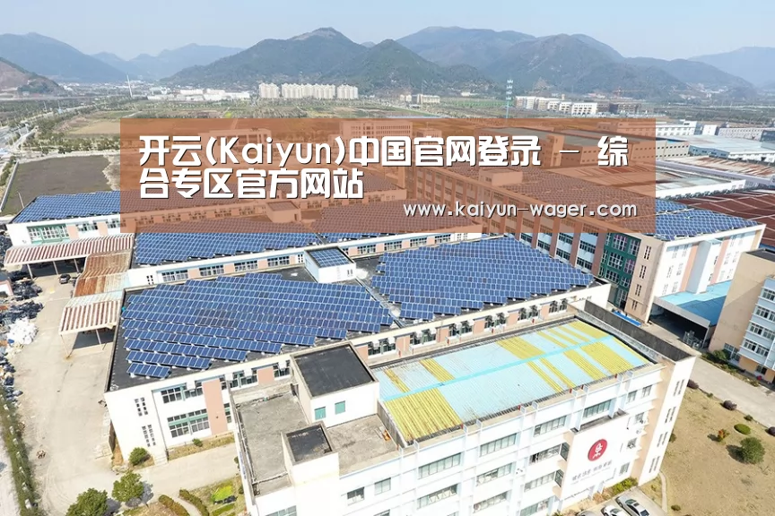 案例展示四