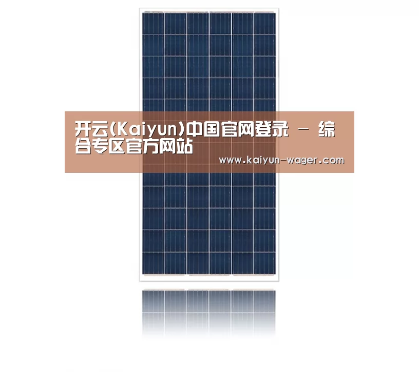产品名称一