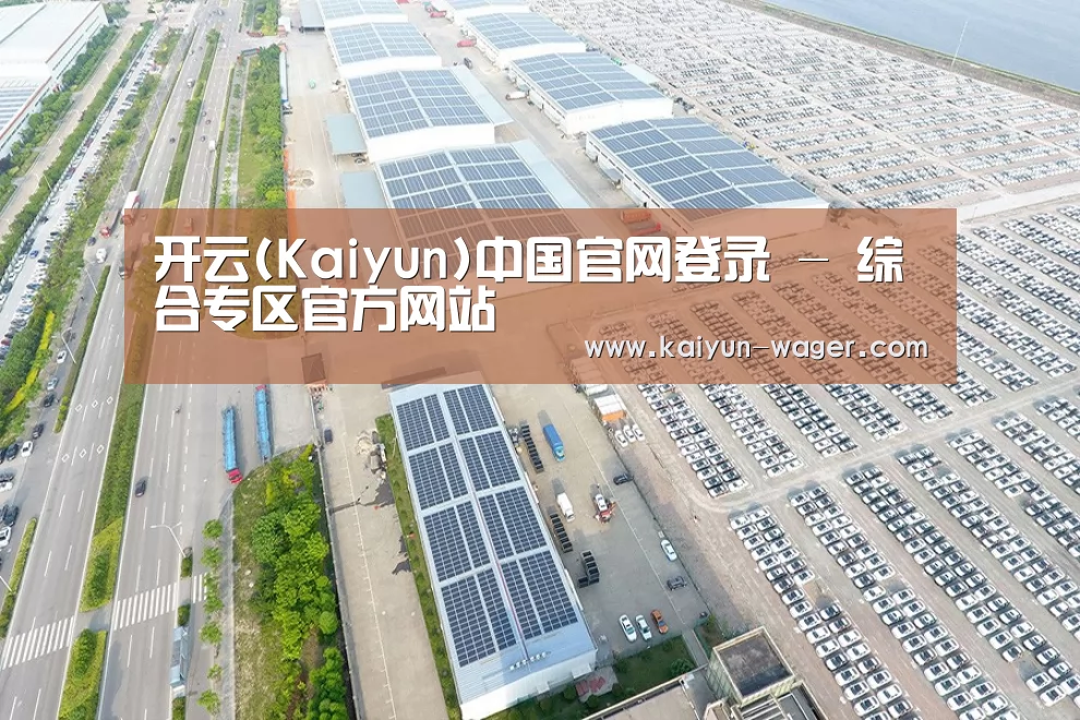 案例展示三