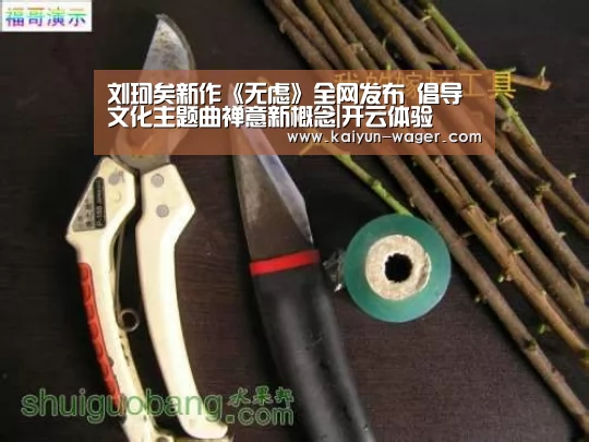 刘珂矣新作《无虑》全网发布 倡导文化主题
